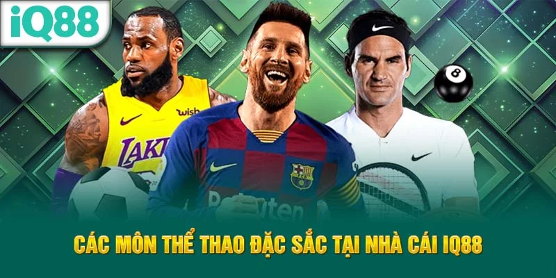 cac-mon-the-thao-dac-sac-tai-nha-cai-iq88