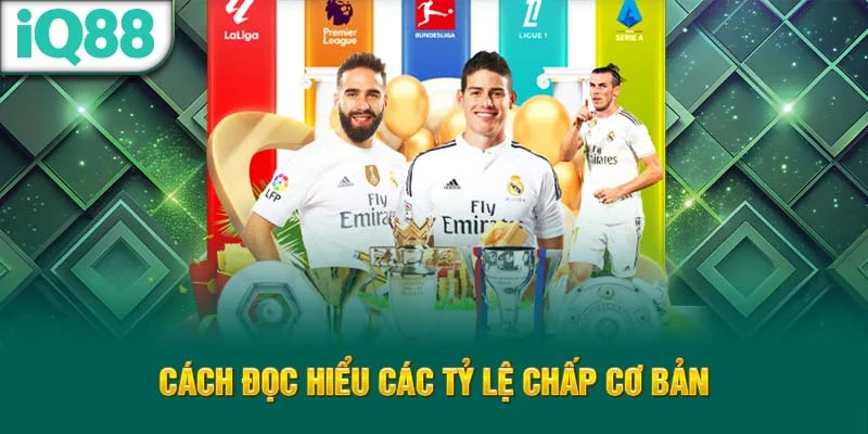 cach-doc-hieu-cac-ty-le-chap-co-ban