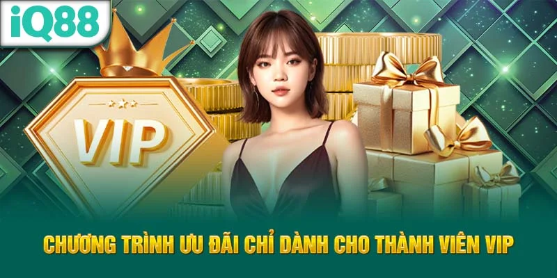 chuong-trinh-uu-dai-chi-danh-cho-thanh-vien-vip