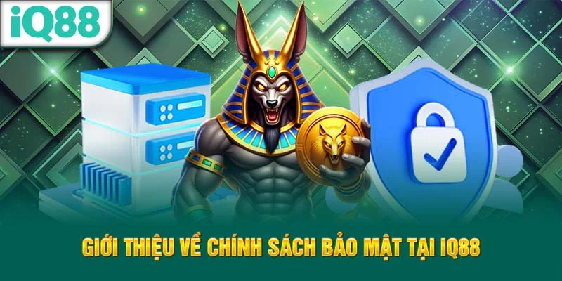 gioi-thieu-ve-chinh-sach-bao-mat-tai-iq88