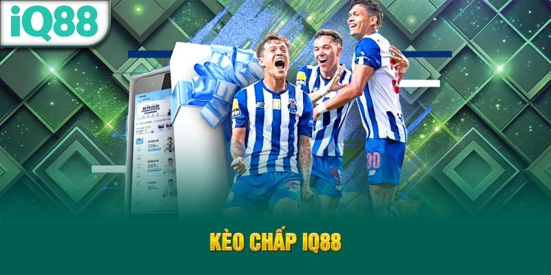 keo-chap-iq88
